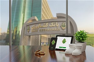 رشد ۱۲۷ درصدی پرداخت وام ازدواج و فرزندآوری در بانک کشاورزی