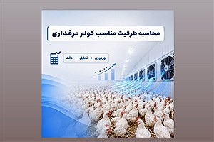 ظرفیت مناسب کولر برای مرغداری چگونه محاسبه می‌شود؟