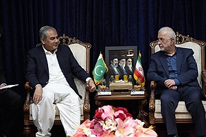 دیدار رسمی وزرای کشور ایران و پاکستان آغاز شد