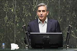 نماینده مجلس خواستار برخورد قاطع با مفاسد ارزی شد