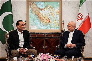 تلاش‌ها برای احیای ثبات در منطقه ادامه دارد