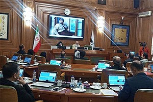 درخواست متفاوت دختر اکبر عبدی در صحن شورای شهر تهران