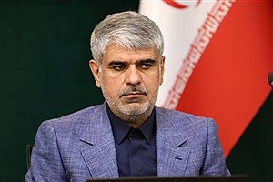 مجلس خواستار شفاف‌سازی درباره نحوه کنترل کالاهای وارداتی شد