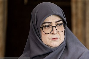 دولت تمام توان خود را برای مدیریت انرژی به کار گرفته است