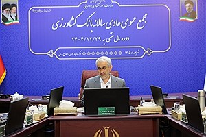 مدنی‌زاده: افزایش سرمایه بانک کشاورزی، پشتوانه تولید و امنیت غذایی است