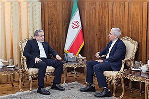 سعید حریری با سیدعباس عراقچی دیدار کرد