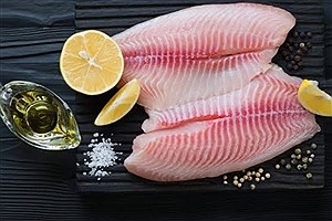 تیلاپیا بخوریم یا نه؟ پاسخ شیلات به نگرانی‌ها