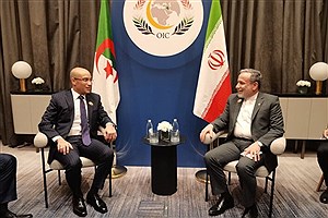 دیدار و گفت‌وگوی عراقچی با وزیر مشاور در امور خارجی الجزایر