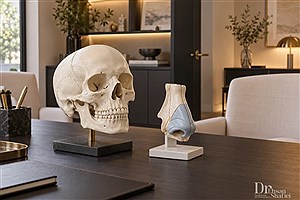 از ساختار صورت تا شکل بینی؛ نگاهی به رویکرد رینوپلاستی با نتیجه طبیعی