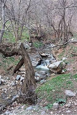 تصویر طبیعت زیبای ارومیه در بهار 1400