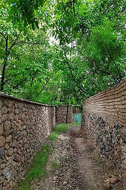 تصویر طلای طبیعت خراسان شمالی