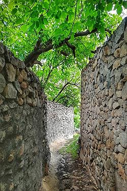 تصویر طلای طبیعت خراسان شمالی