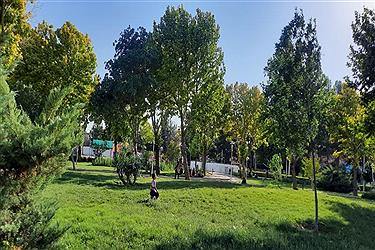 تصویر شهربازی بجنورد در خراسان شمالی؛ در انتظار روزهای بی‌کروناست