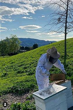 تصویر تولید عسل در خراسان شمالی