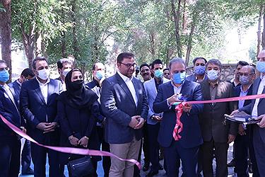 تصویر افتتاحیه مسیرهای دوچرخه سواری شهرجهانی یزد باحضور رئیس و دبیر فدراسیون دوچرخه سواری