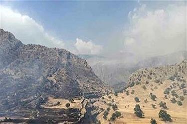 تصویر ادامه تلاش ها برای مهار آتش سوزی منطقه حفاظت شده خامی