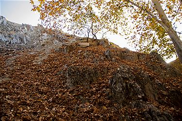 تصویر زیبایی های نُغُندَر مشهد در پاییز