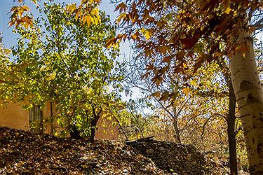 تصویر زیبایی های نُغُندَر مشهد در پاییز