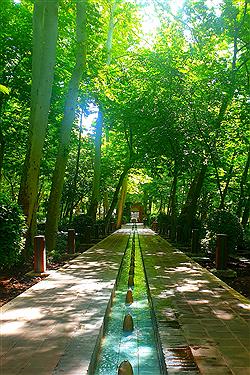 تصویر به تماشای باغ ایرانی تهران بنشینید