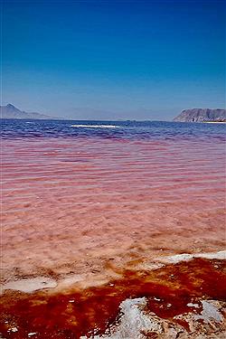 تصویر زیبایی‌های شورترین دریاچه ایران