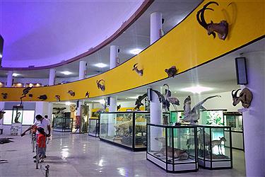 تصویر موزه تاریخ طبیعی و تکنولوژی شیراز