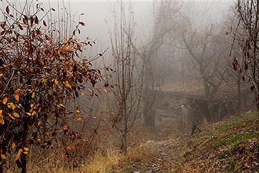 تصویر طبیعت زیبای پاییز در دولت آباد