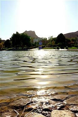 تصویر دریاچه چشم نوازِ زیتون بهارستان