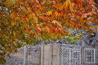 تصویر پاییز زیبا و خوش رنگ در شاندیز مشهد