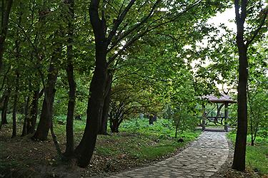 تصویر گذری بر باغ گیاه شناسی دانشگاه تبریز