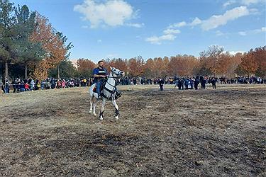 تصویر جشنواره نمایش اسب های محلی