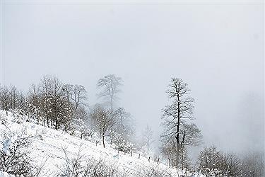 تصویر ارتفاعات برفی روستای اولسبلنگاه - ماسال
