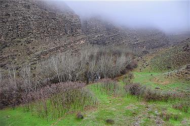 تصویر پارک ملی تندوره شهرستان درگز در بهار