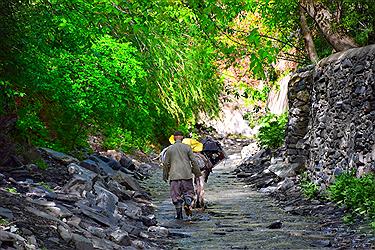 تصویر طبیعت زیبای بهاری روستای ازغد