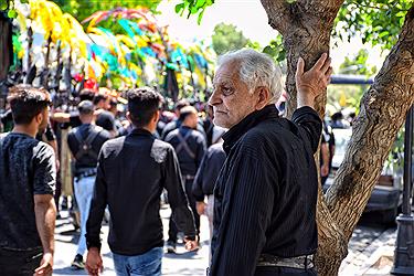 تصویر عزاداری و پیاده روی تا حرم امام رضا در روز تاسوعای حسینی