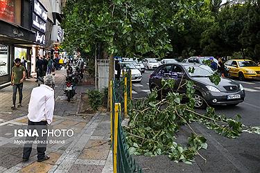 تصویر خسارت وزش باد شدید در تهران به روایت تصویر