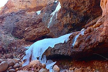 تصویر سرمای زمستانی شیراز با کم‌ترین بارش