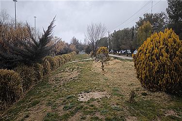 تصویر گزارش تصویری پُرسون از طبیعت اکوپارک صدرا بعد از یک روز بارانی&#47; ببینید