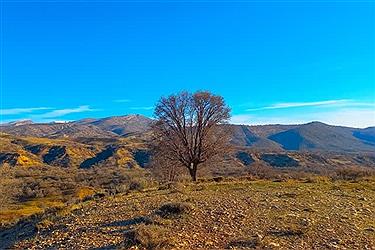 تصویر پایان اسفند و آغاز بهار در شیراز&#47; عکس ببینید