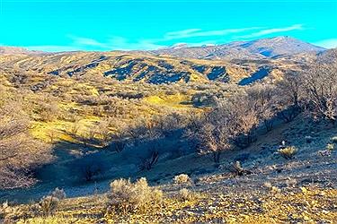 تصویر پایان اسفند و آغاز بهار در شیراز&#47; عکس ببینید