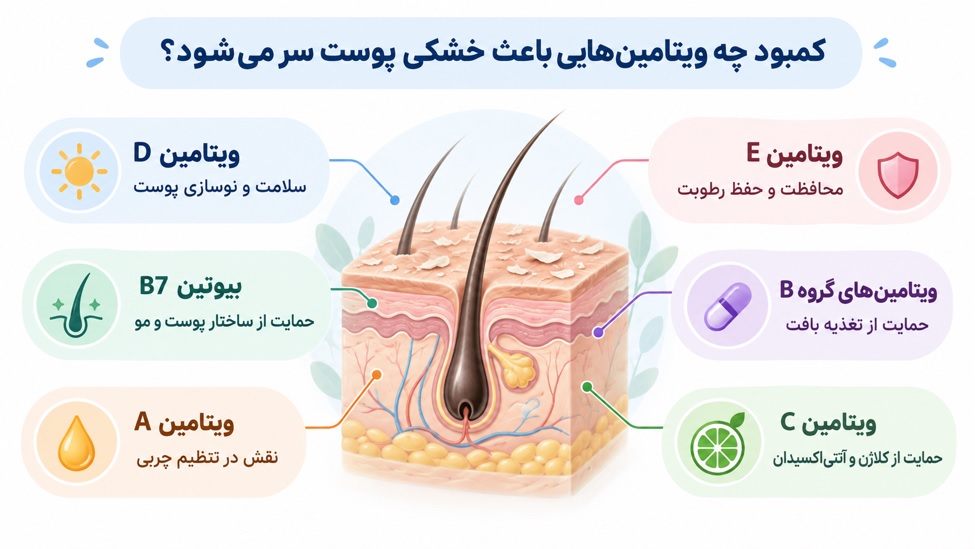 کمبود چه ویتامین‌هایی باعث خشکی پوست سر می‌شود؟