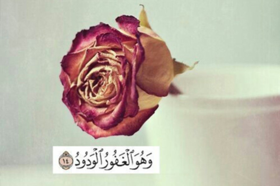 یا ودود