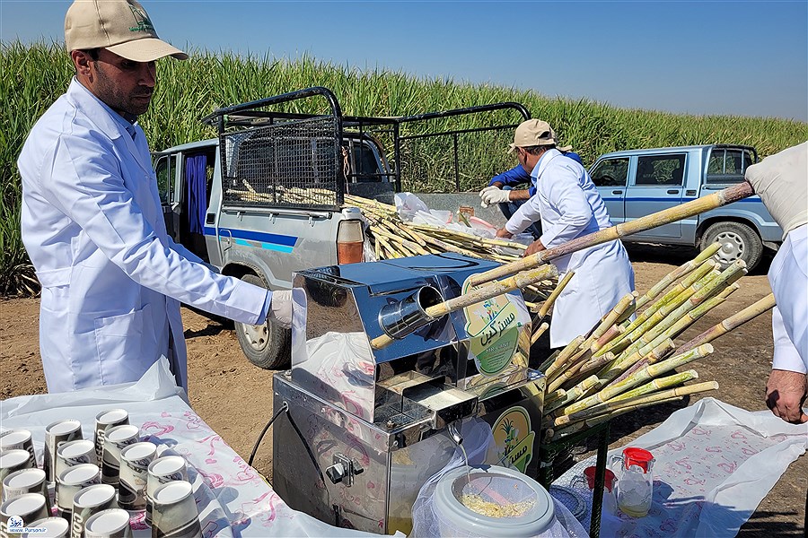 آغاز بزرگترین عملیات متمرکز برداشت محصول نیشکر در بخش کشاورزی کشور_ خوزستان