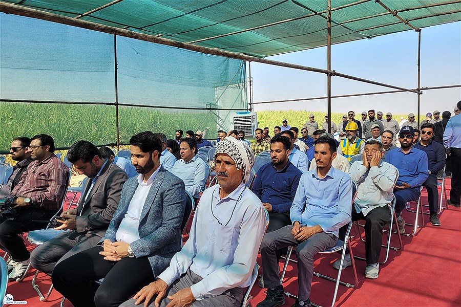 آغاز بزرگترین عملیات متمرکز برداشت محصول نیشکر در بخش کشاورزی کشور_ خوزستان