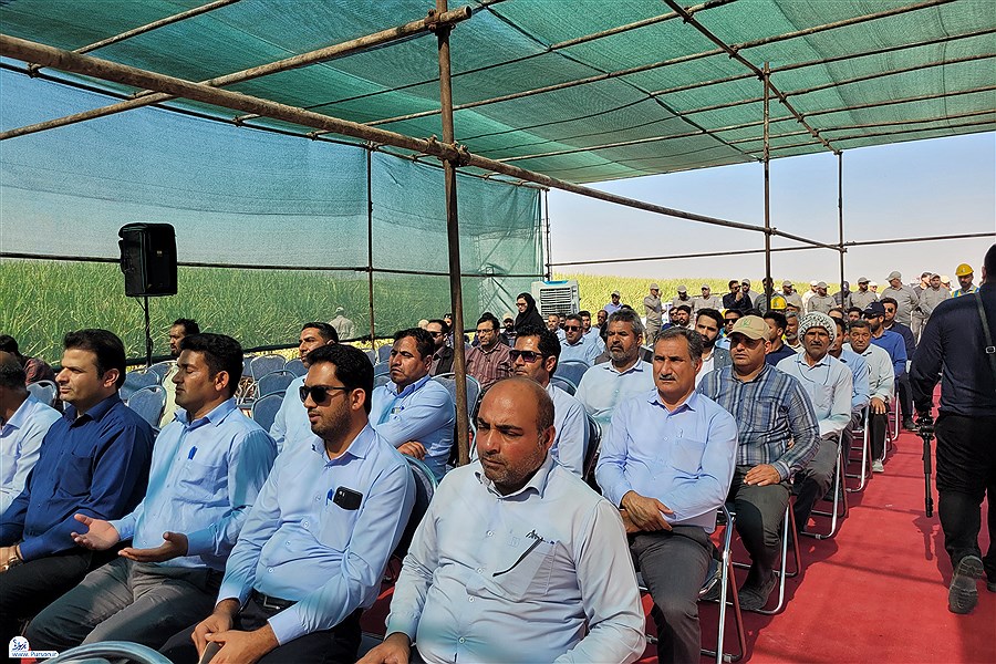 آغاز بزرگترین عملیات متمرکز برداشت محصول نیشکر در بخش کشاورزی کشور_ خوزستان