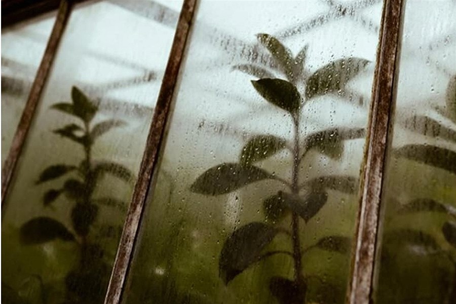 اشتباهات رایج در مدیریت رطوبت