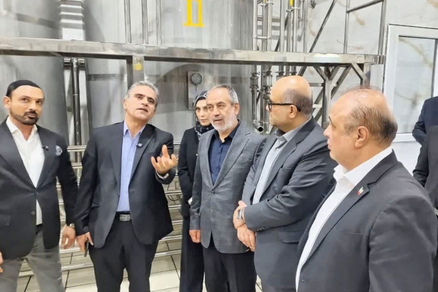 شرکت زرین مهر آمیتیس بزرگترین واحد فرآوری تخممرغ کشور