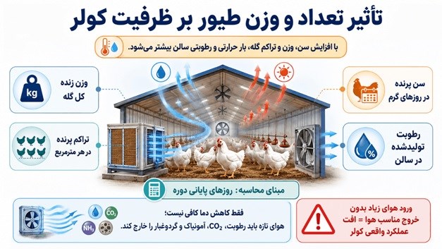 تاثیر تعداد و وزن طیور در انتخاب کولر مرغداری